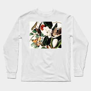 Bird of America  Bird, bird lover, america, beautiful  Public domain painting by John James Audubon Long Sleeve T-Shirt